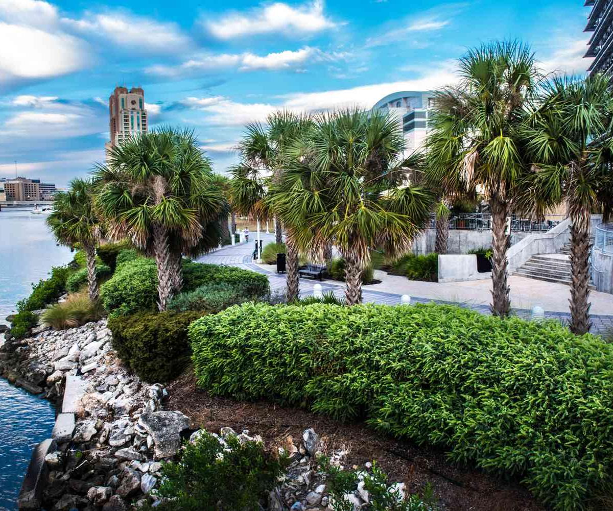 Hydralive Therapy Tampa — recovery studio