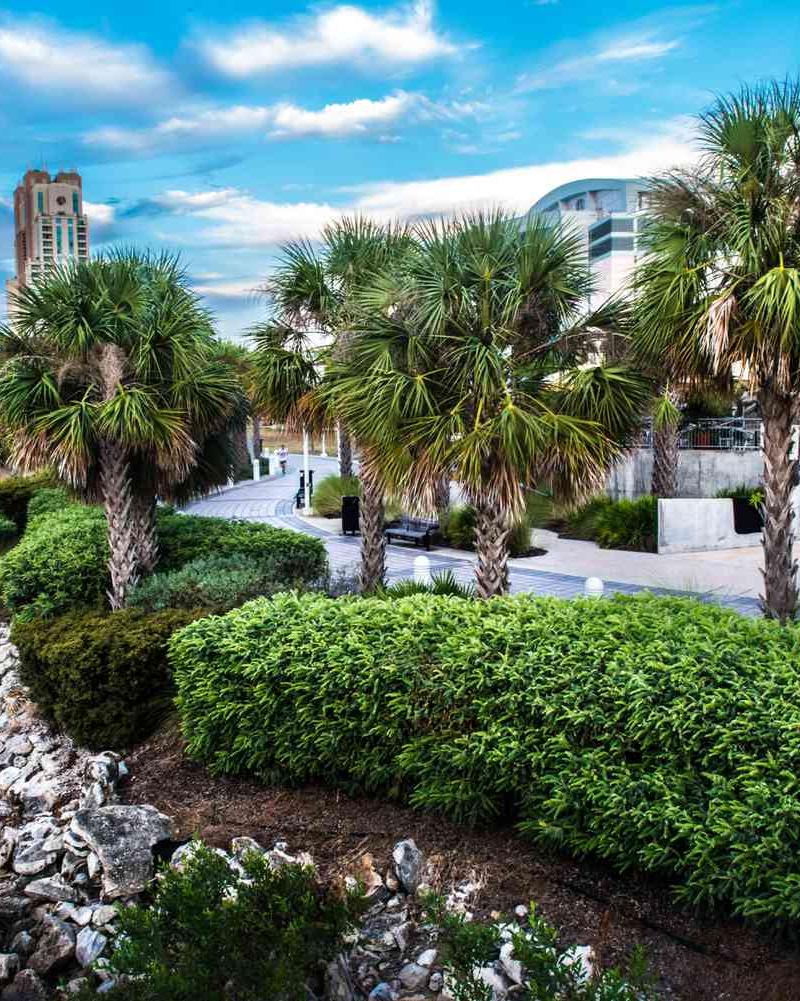 Hydralive Therapy Tampa — recovery studio in Tampa, FL