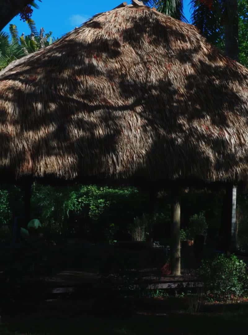 Slawth Haus — recovery studio in West Palm Beach, FL