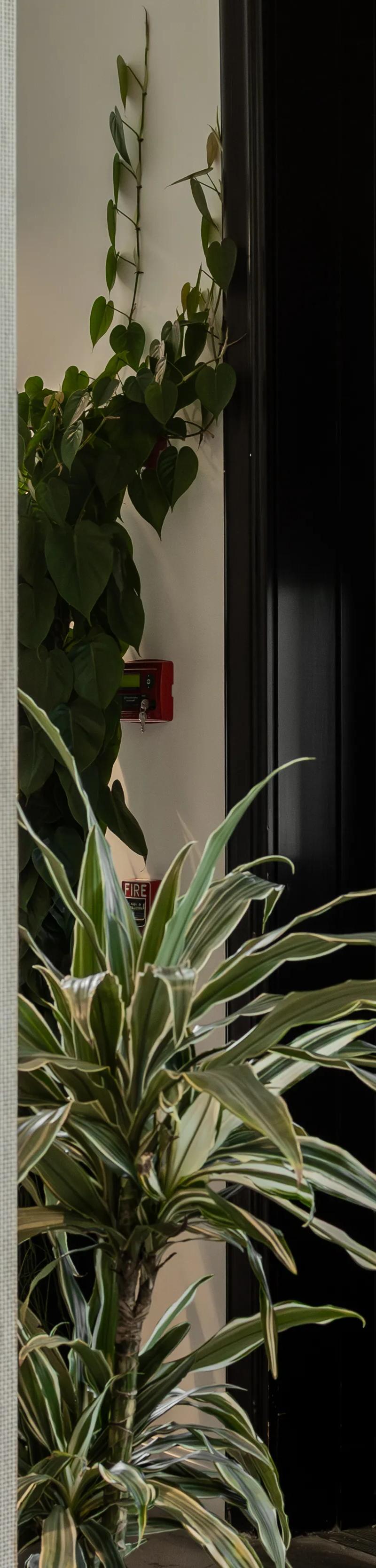 MedHouse — recovery studio in West Palm Beach, FL