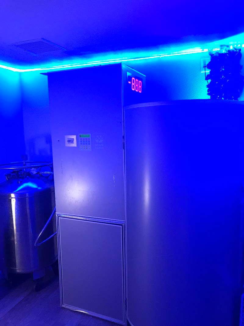 Jireh Cryotherapy & Wellness Studio — photo 3