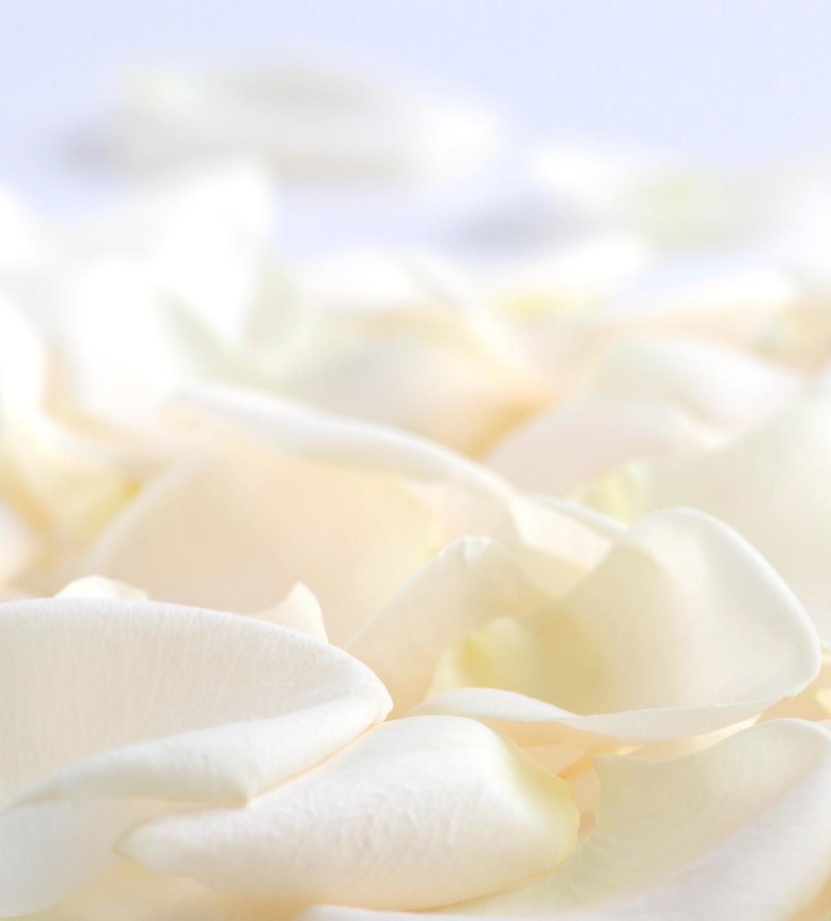 The Healing Room — recovery studio