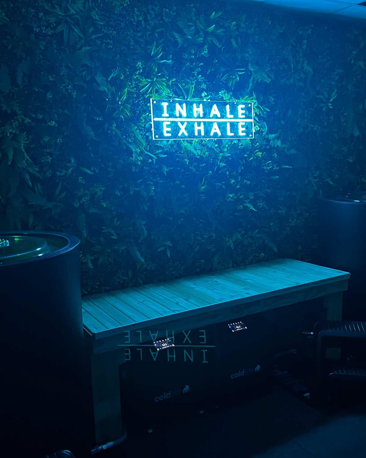 The Plunge Place — recovery studio
