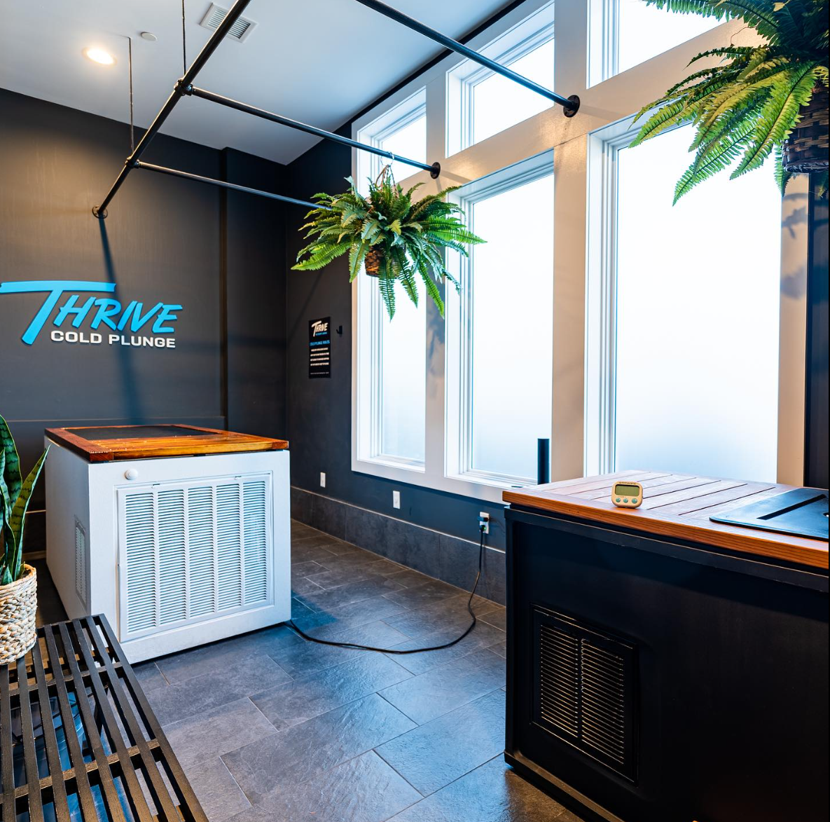 Thrive Spine & Sports Rehab — photo 4
