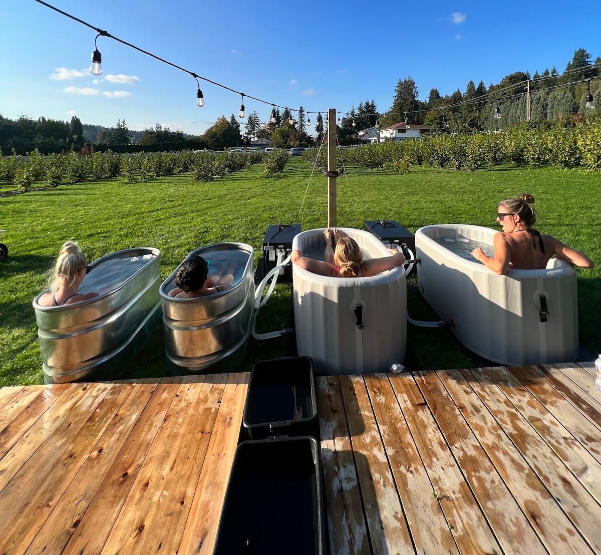 Fyre Sauna — photo 3