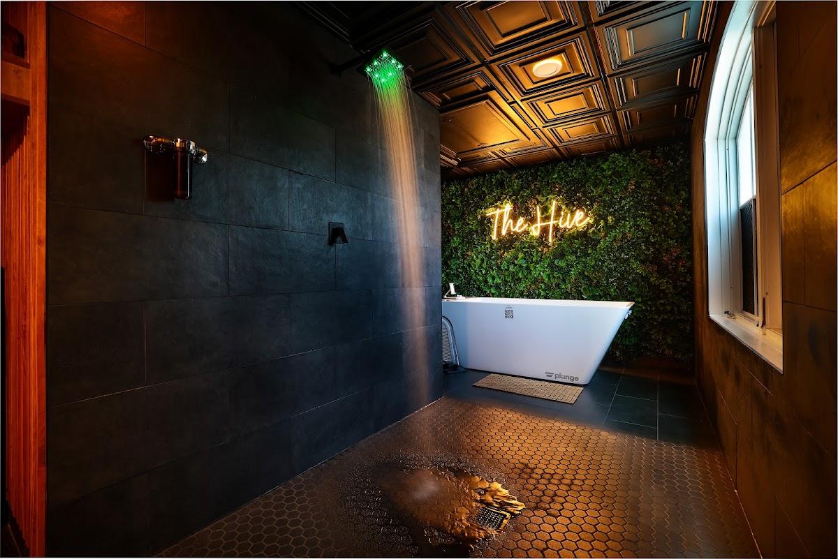 Revive Hive — recovery studio