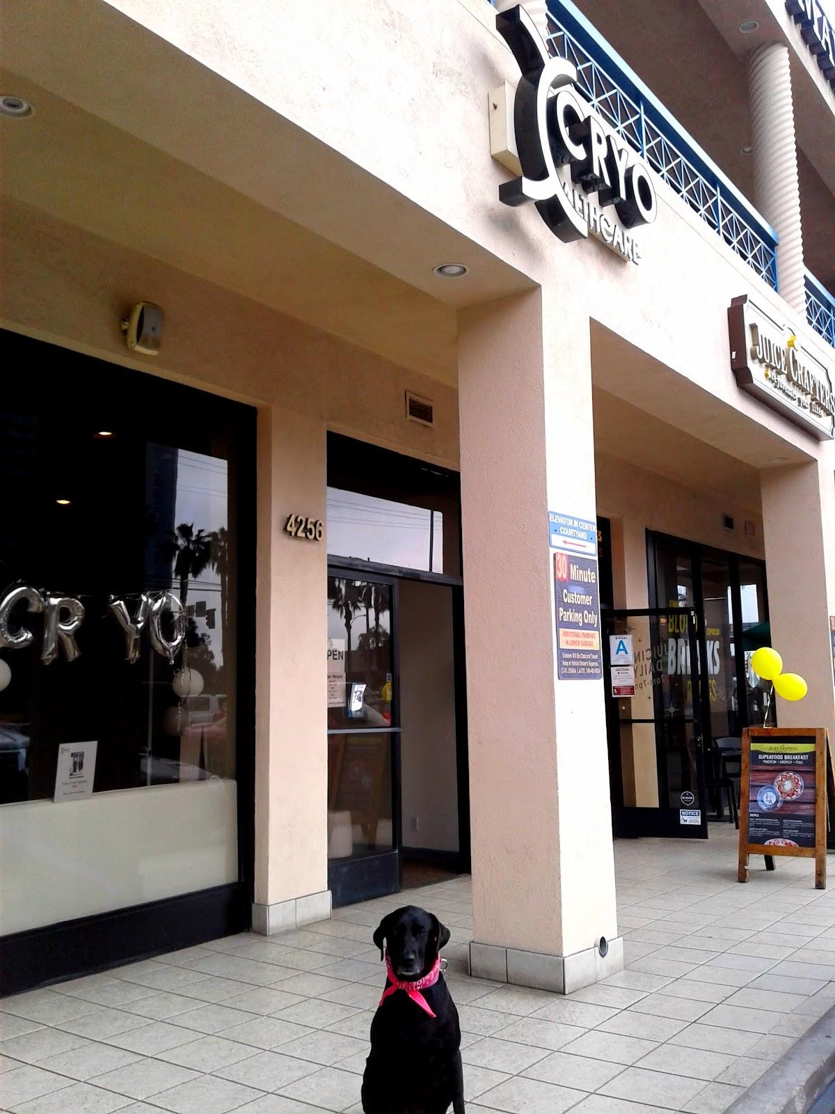Cryohealthcare Marina del Rey — photo 3