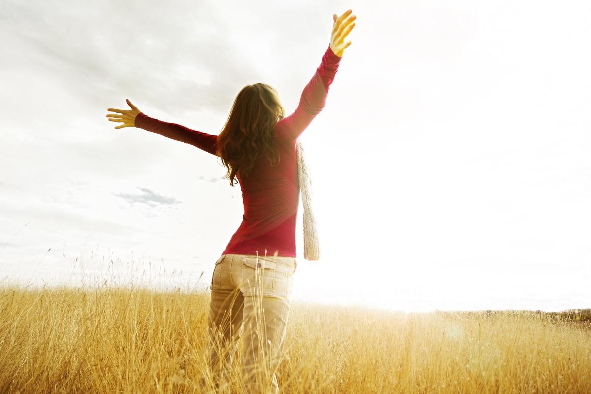 WD Recovery & Wellness Center — recovery studio
