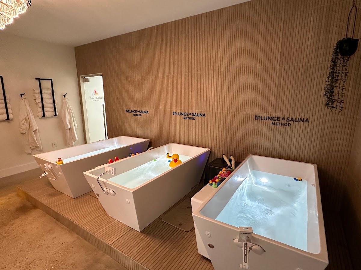 The Plunge and Sauna Method — photo 3