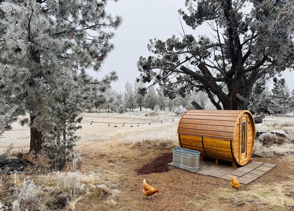 Ember Saunas — photo 3
