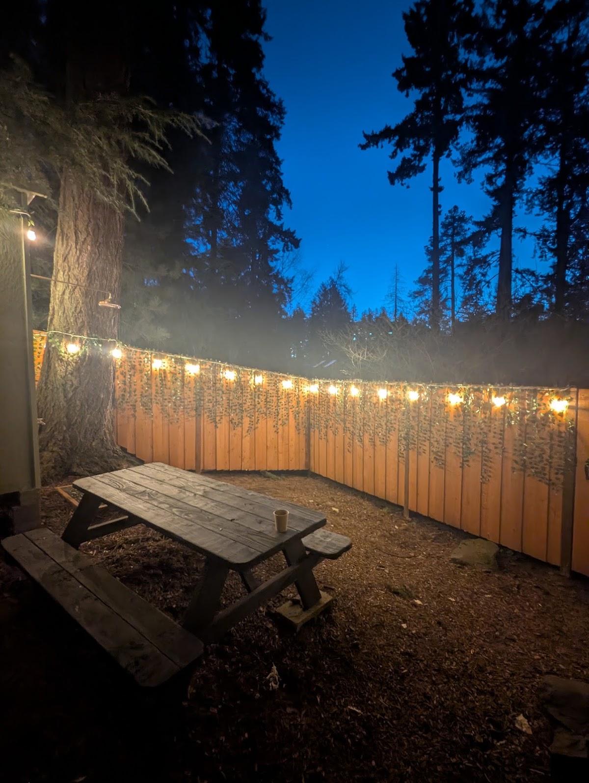 Forest Haven Sauna — photo 4