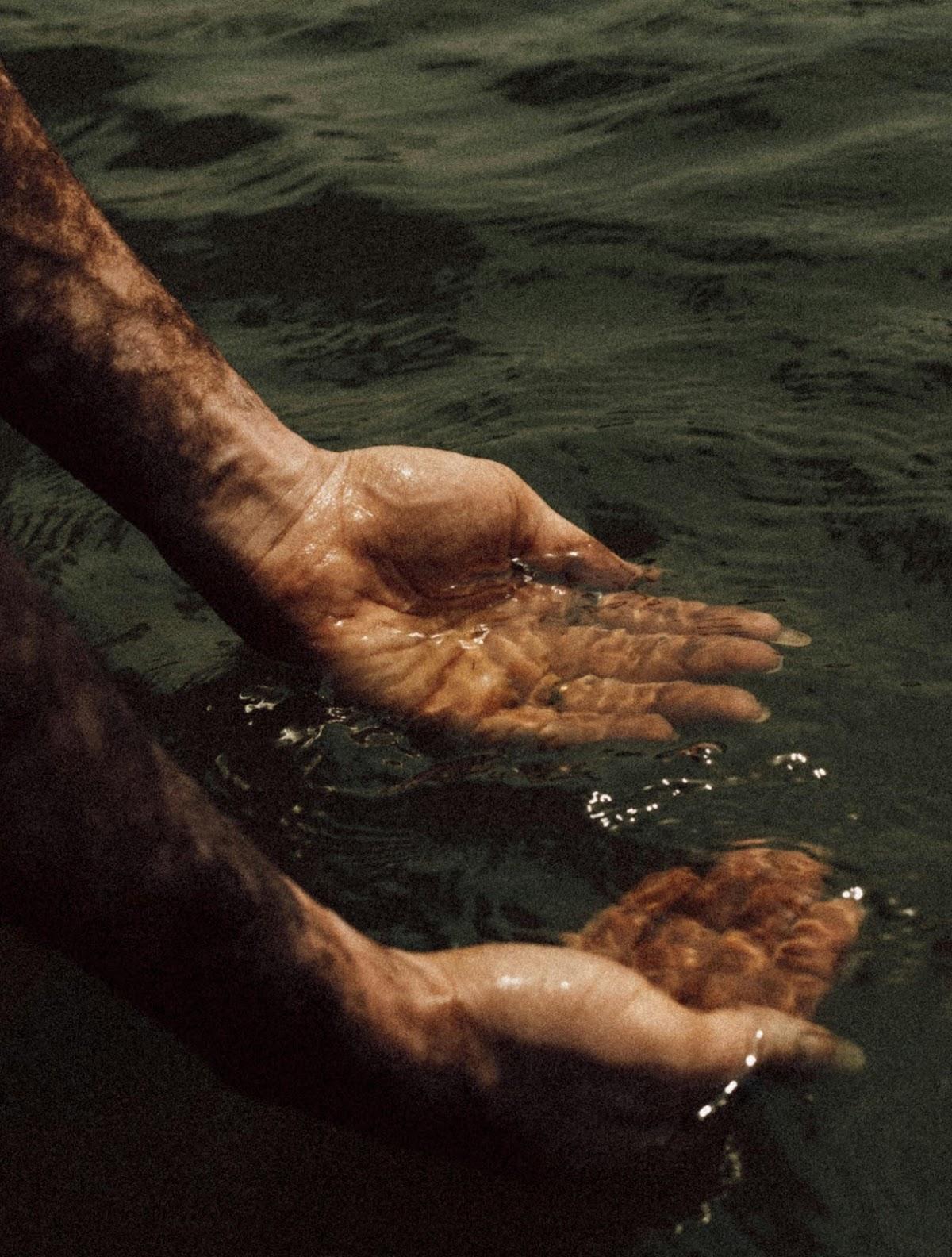 Wren — recovery studio