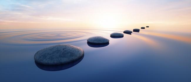 Anew Mind and Body Wellness — recovery studio in Savannah, GA