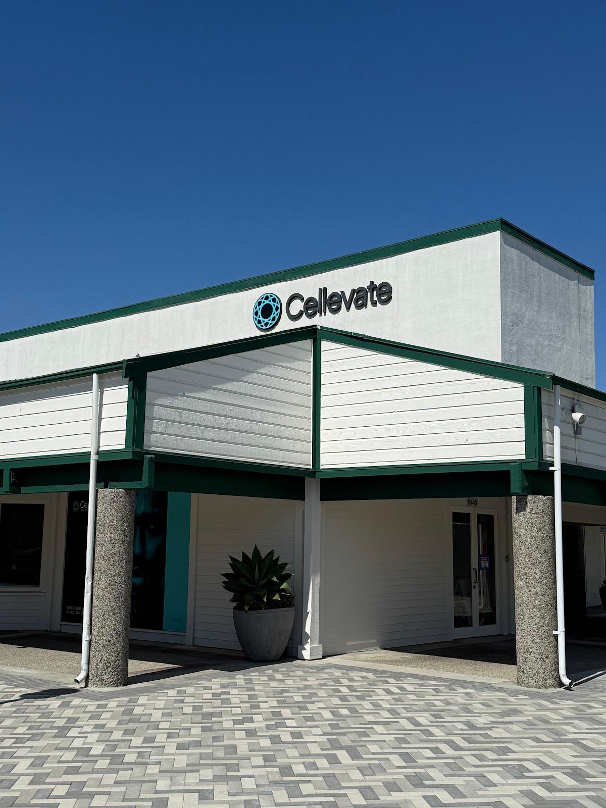 Cellevate — photo 4