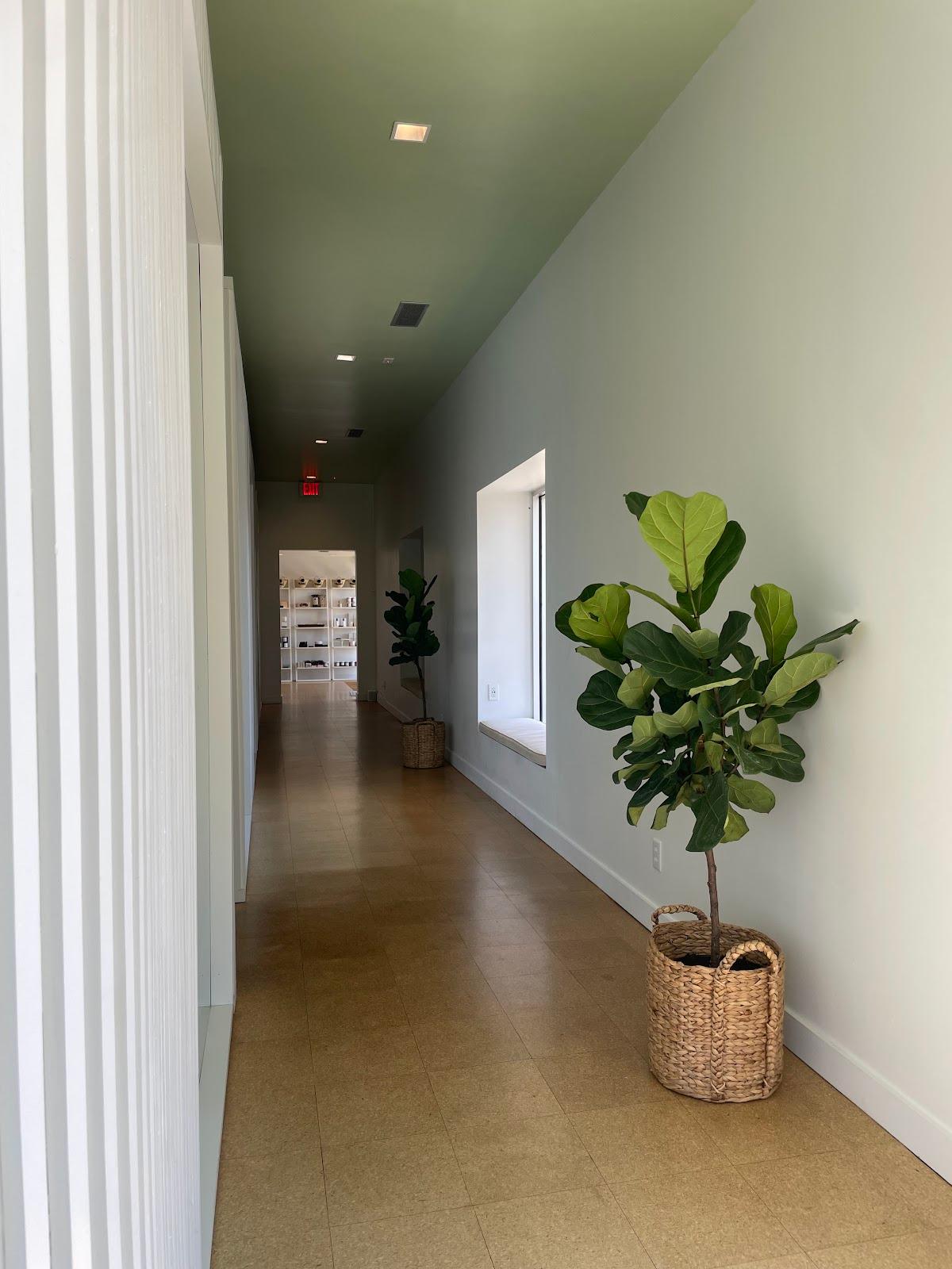 Mood House — photo 3