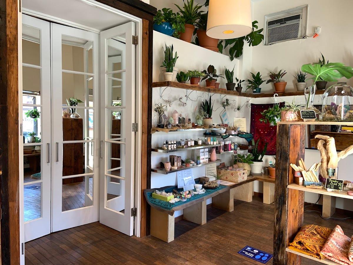 Planted Living & Wellness — photo 3