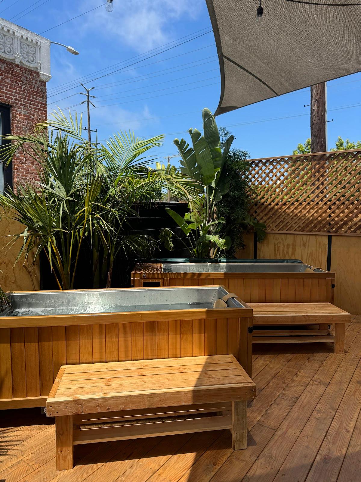 Teddy's Hot House — recovery studio