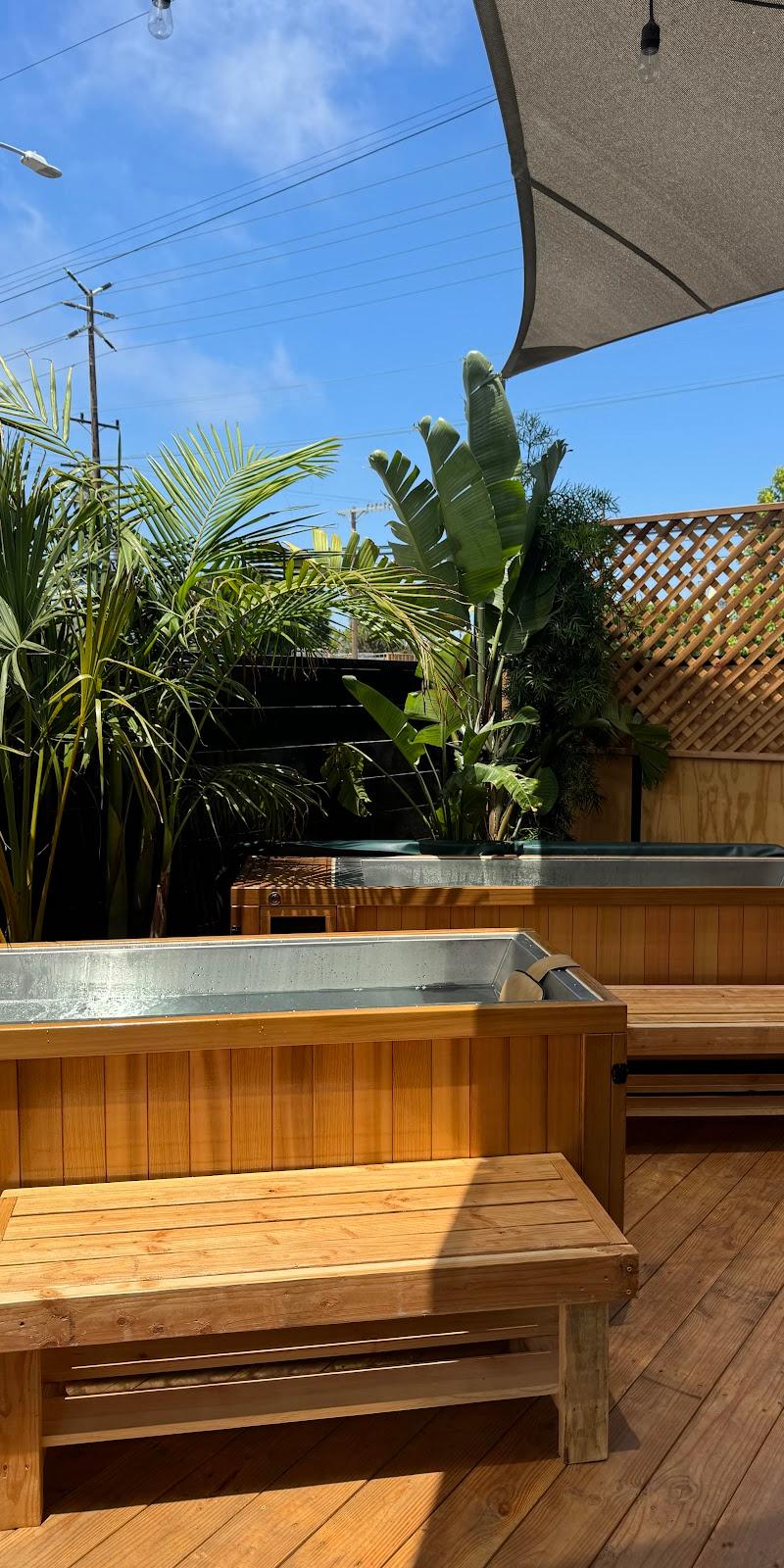 Teddy's Hot House — recovery studio in Venice, CA