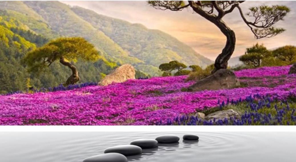 Lotus Spa & Sauna — recovery studio