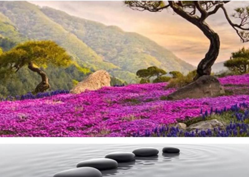 Lotus Spa & Sauna — recovery studio in Clearwater, FL
