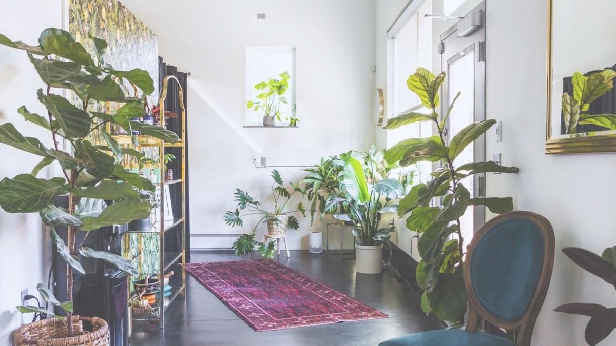 Vida Wellness Studio — photo 2