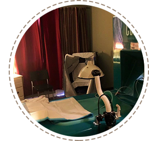 The Root Chakra / South Bay Holistic Spa — recovery studio