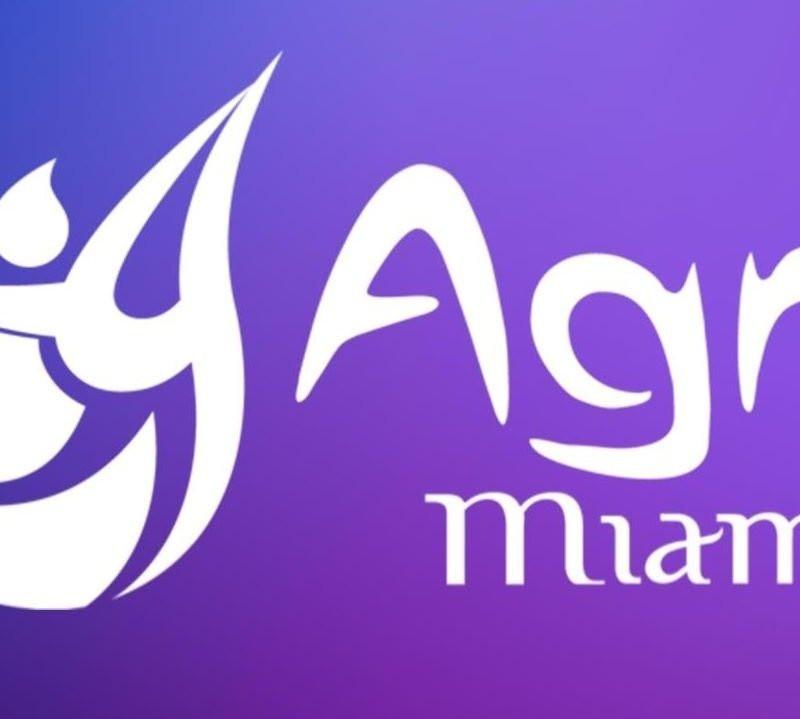 Agni Miami — MiMo Studio — recovery studio in Miami, FL