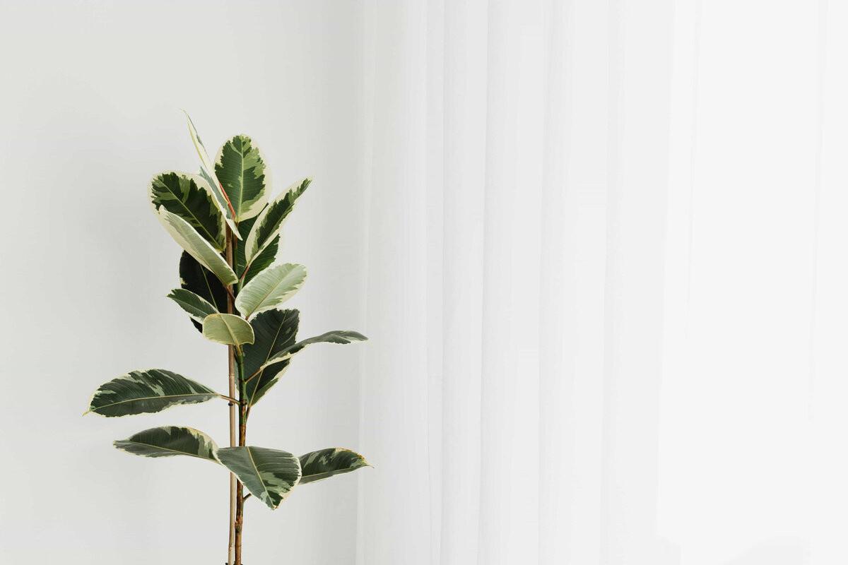 Allegro MedSpa — recovery studio