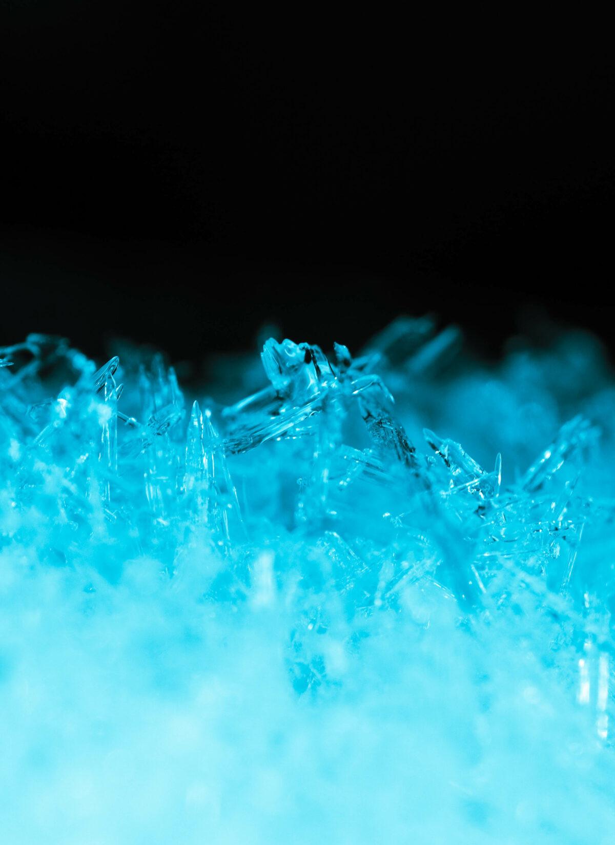 Cryo Sanctuary — photo 2