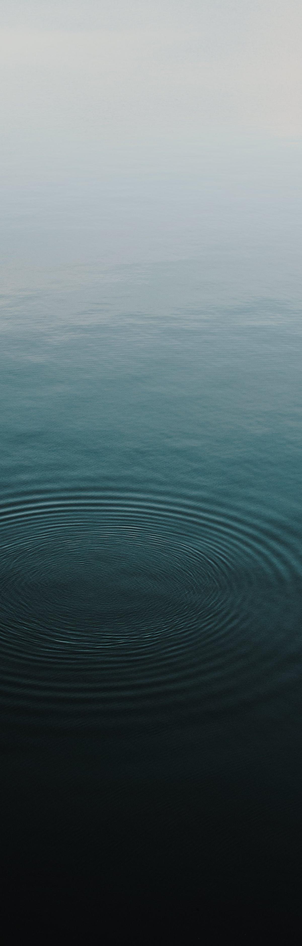 Lucidity Float and Wellness Center — recovery studio