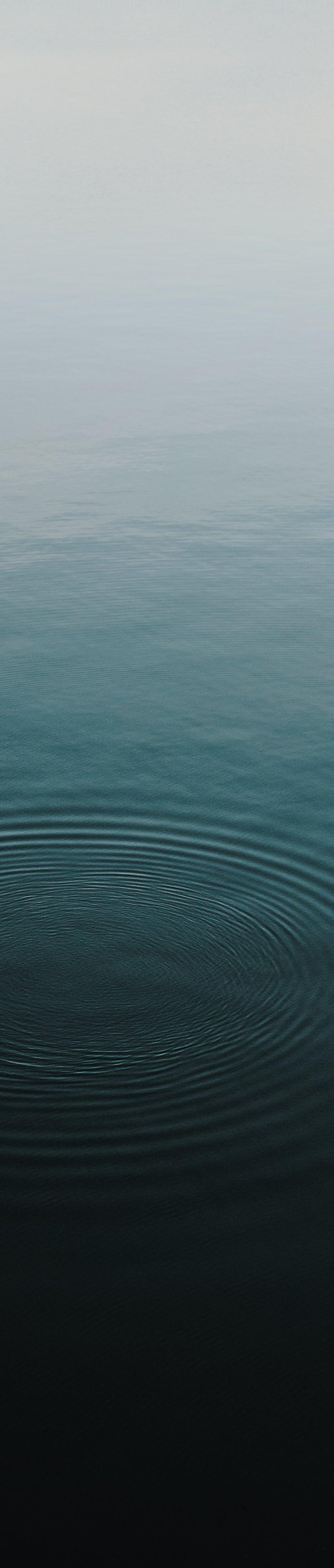 Lucidity Float and Wellness Center — recovery studio in Chattanooga, TN