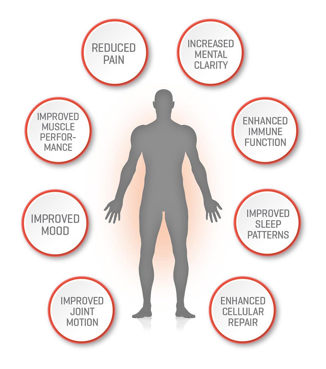 Optimal Health Chiropractic & Acupuncture — photo 2