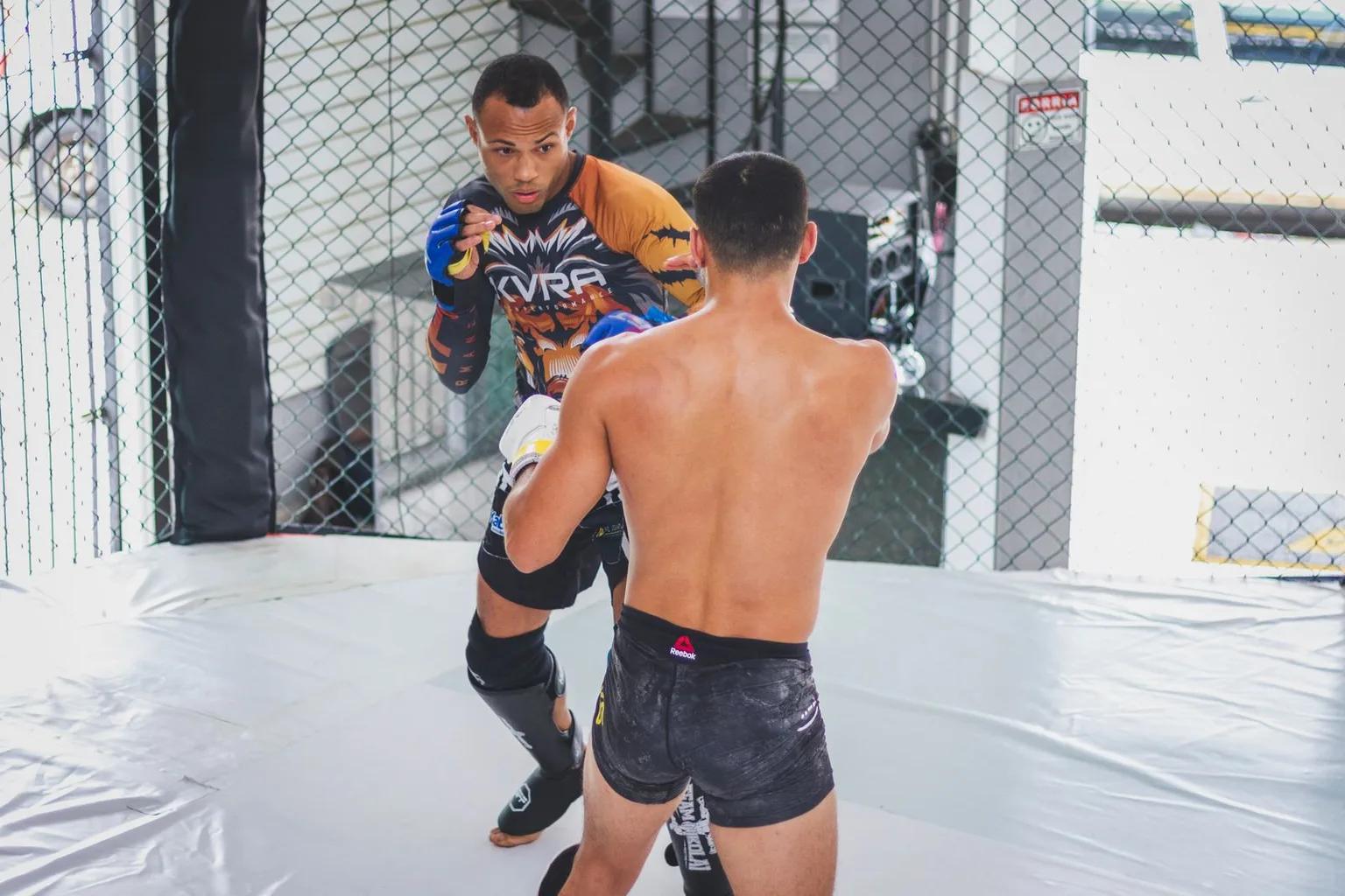 Editorial image representing MMA