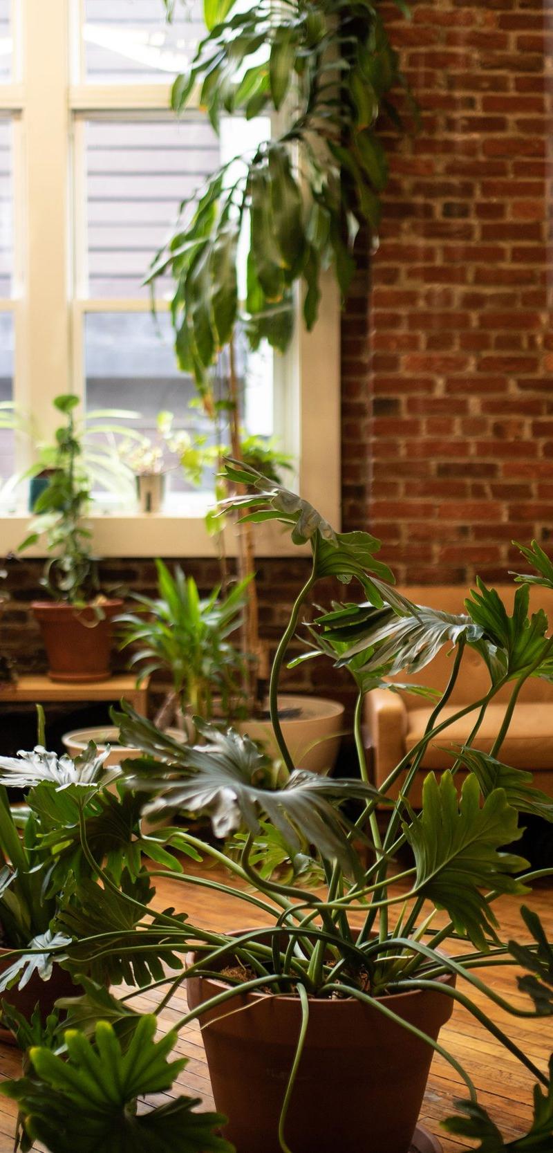 Formation Sauna + Wellness — recovery studio in Philadelphia, PA